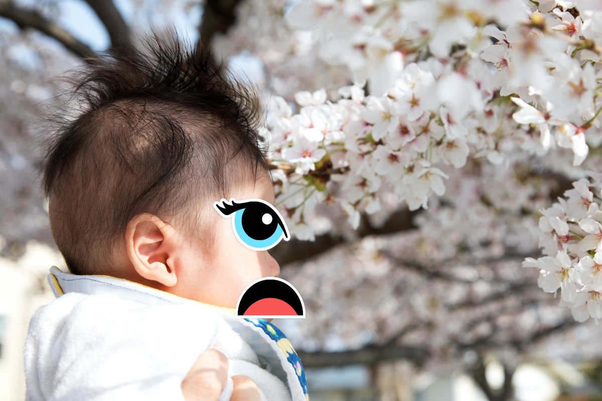 バリアフリーのお花見