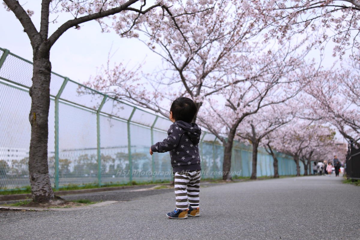 子供の成長記録で思うこと